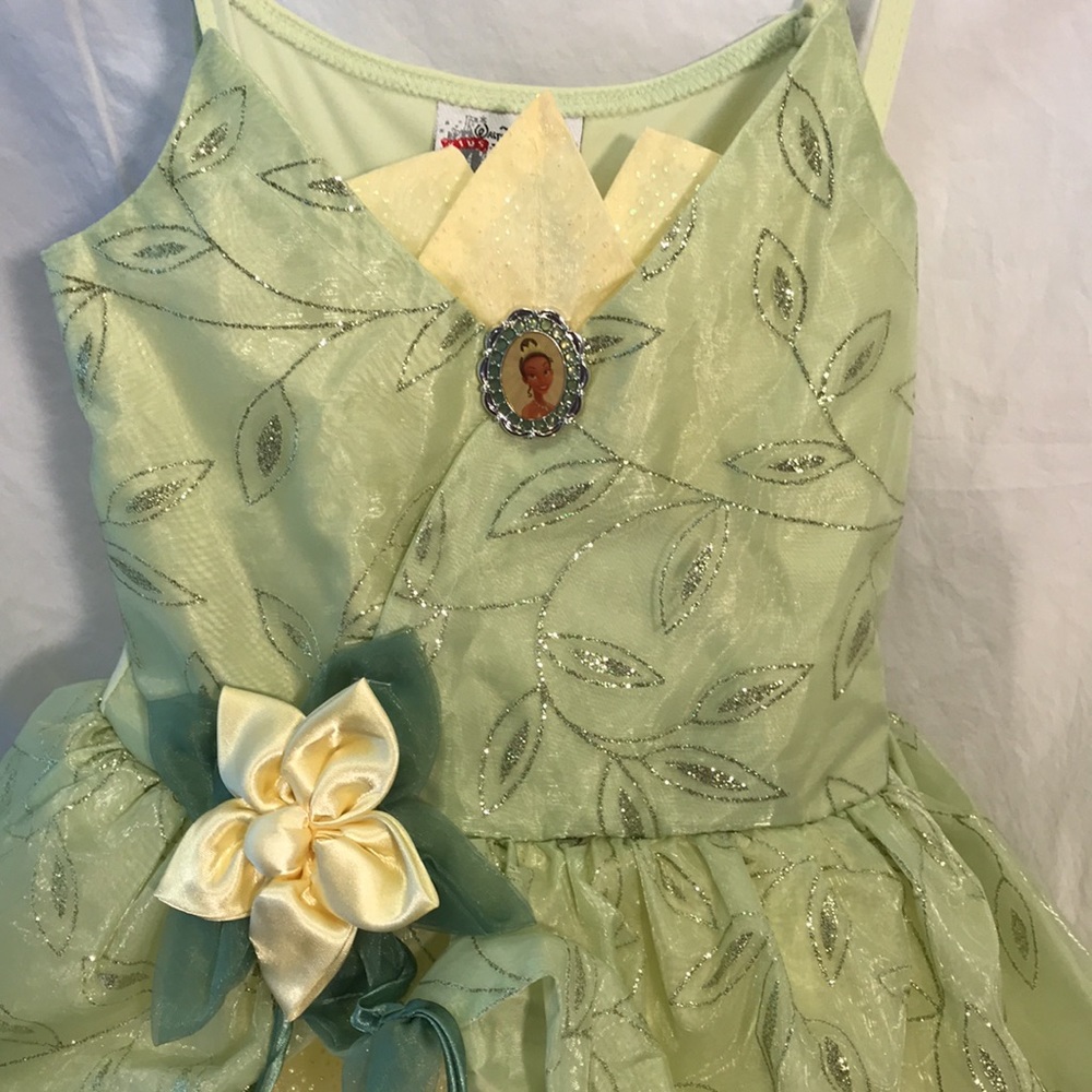 Sold!!! Sold!!!  Disney Princess Tiana dress